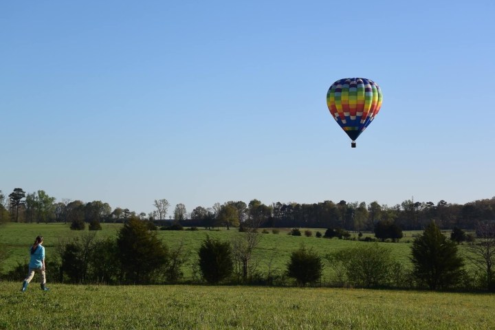 a young boy flying a kite in a field